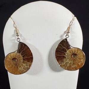Natural Ammonite Earrings